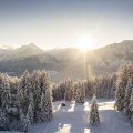 Sonnenuntergang über dem Tannenmeer