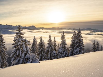 Ein Wintertraum