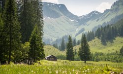 Die Schwarze Hütte