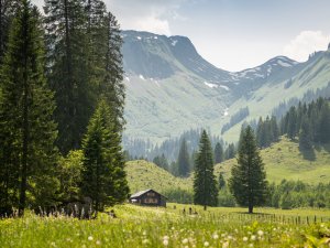 Im Rappenalptal Die Schwarze Hütte