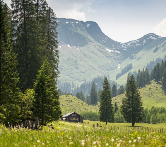 Im Rappenalptal Die Schwarze Hütte
