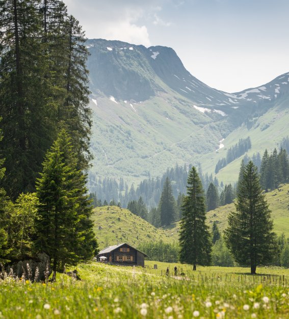 Im Rappenalptal Die Schwarze Hütte