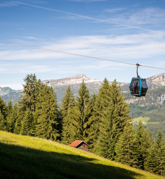 Die Gondeln der Söllereckbahn