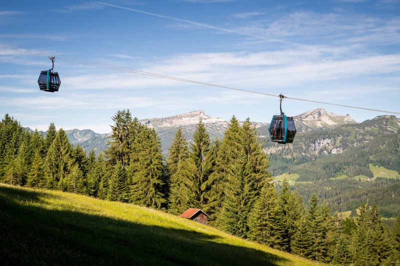 20210706-dsc6371-800.jpg?r=1