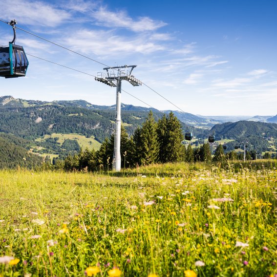 Die Söllereckbahn
