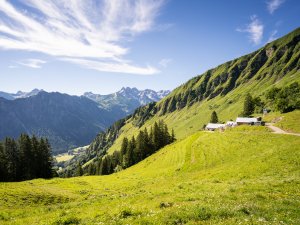 Blick zur Sölleralpe