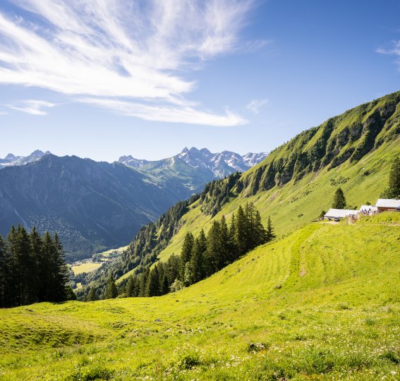 Blick zur Sölleralpe