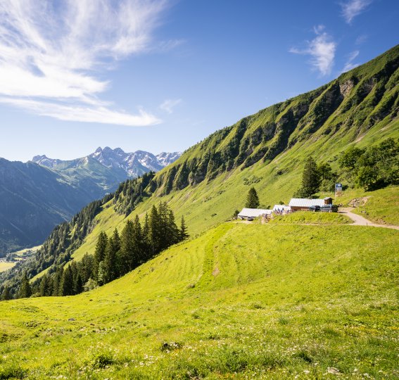 Blick zur Sölleralpe
