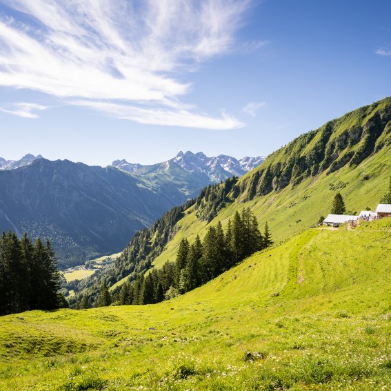Blick zur Sölleralpe