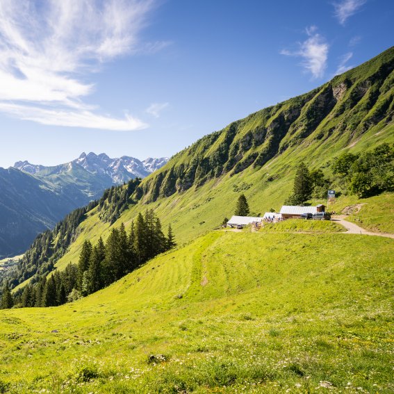 Blick zur Sölleralpe
