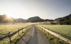 Morgentau auf den Öschwiesen