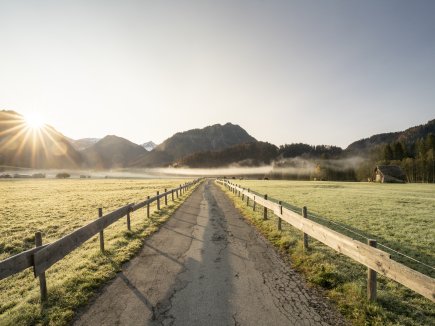 Morgentau auf den Öschwiesen