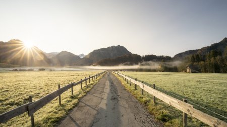 Morgentau auf den Öschwiesen