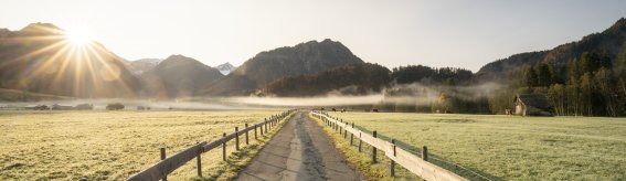 Morgentau auf den Öschwiesen