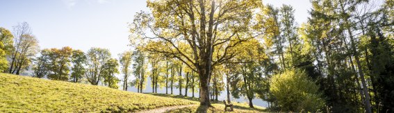 Herbstsonne auf der Hofmannsruh