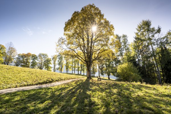 Herbstsonne auf der Hofmannsruh
