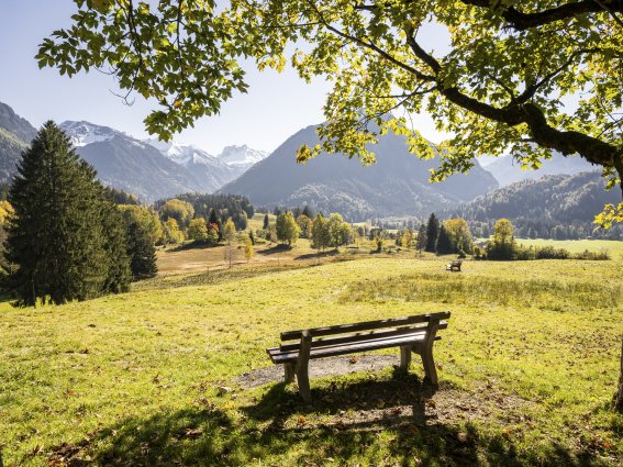 A Bänkle a dr Sunne