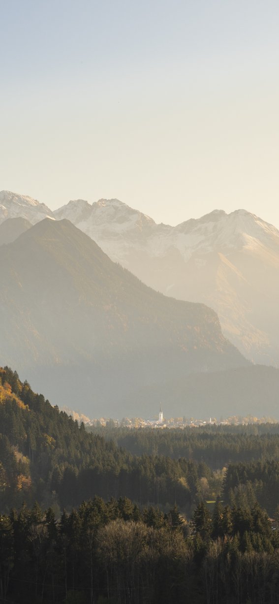 Herbst an der Schöllanger Burg