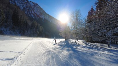 Langlaufen im Sonnenschein