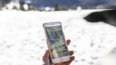 Urlaubsplanung online