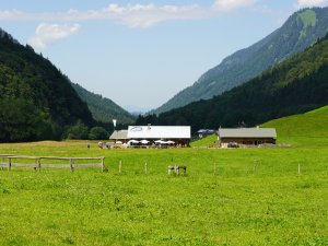 Die Alpe Oberau