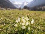 Vorfrühling im Trettachtal