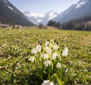 Vorfrühling im Trettachtal