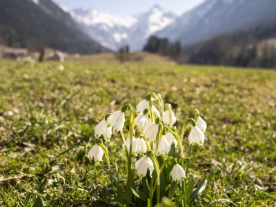 Vorfrühling im Trettachtal