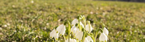 Vorfrühling im Trettachtal