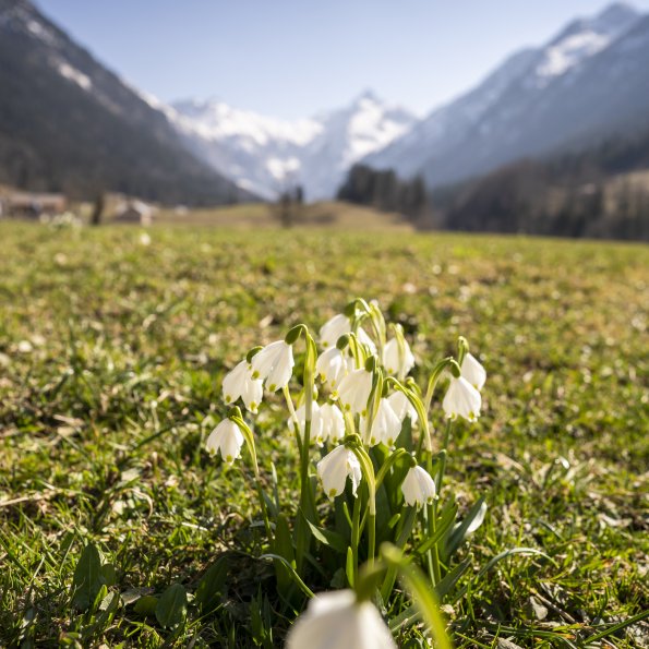 Vorfrühling im Trettachtal