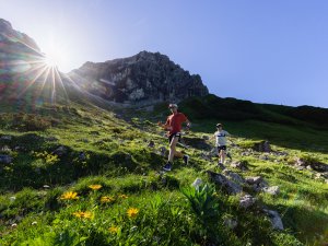 Die Sonne spitzelt raus