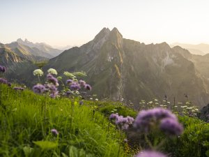 Kurz vor dem Himmeleck.