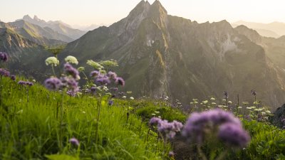 Die Allgäuer Bergwelt in satten Farben