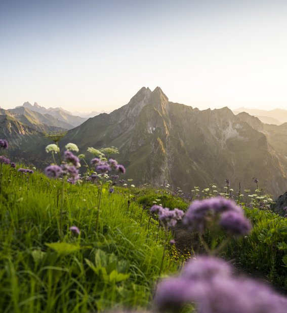 Die Allgäuer Bergwelt in satten Farben