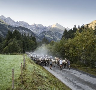 Auszug der Biberalpe