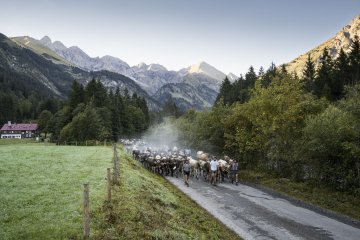 Auszug der Biberalpe