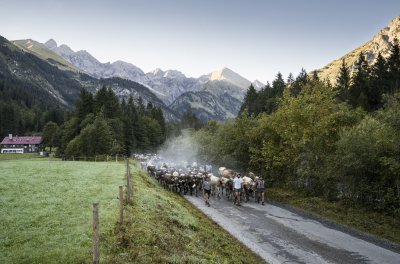 Auszug der Biberalpe