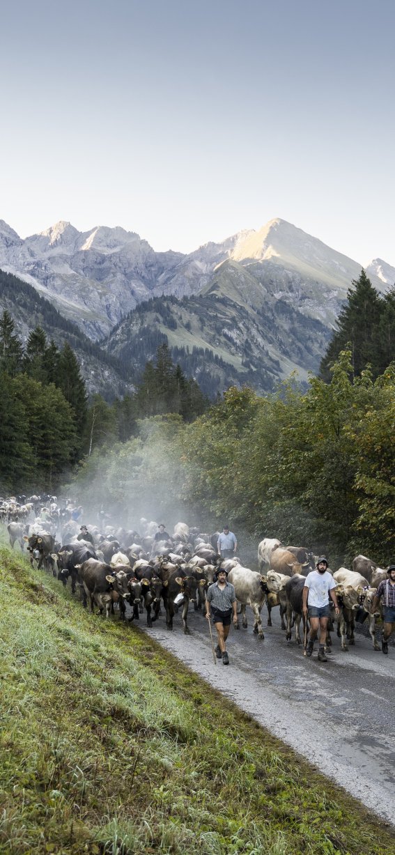 Auszug der Biberalpe