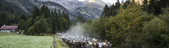 Auszug der Biberalpe