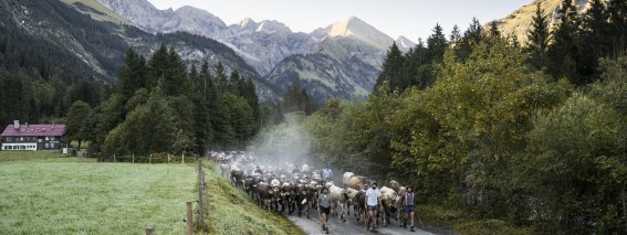Auszug der Biberalpe