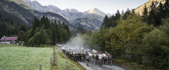 Auszug der Biberalpe