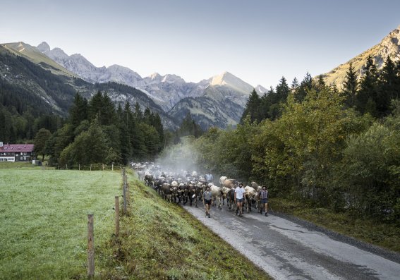 Auszug der Biberalpe