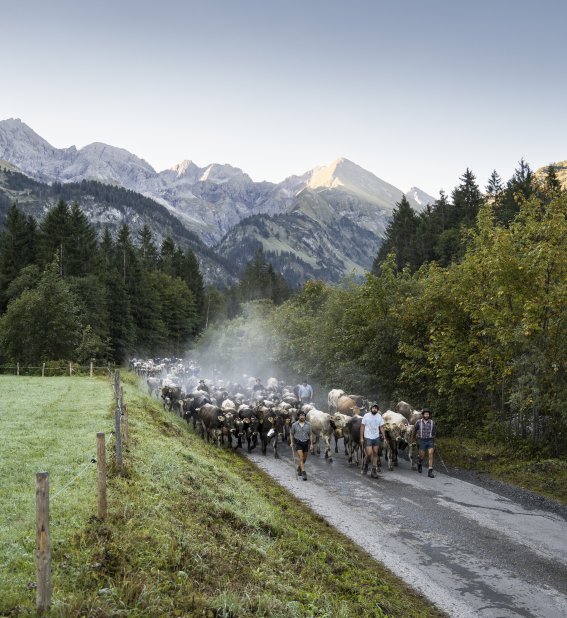 Auszug der Biberalpe