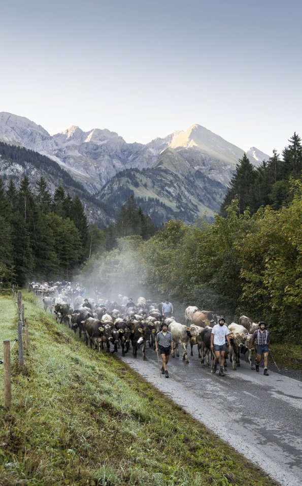 Auszug der Biberalpe