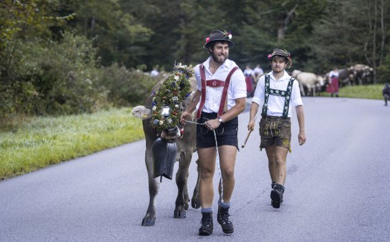 Die Alpe Bierenwang mit Kranz