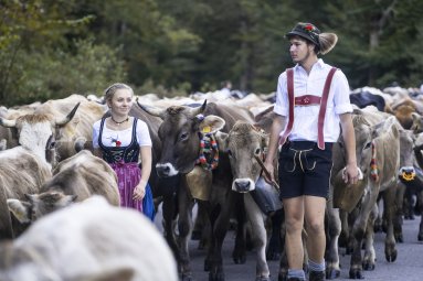 Die Bierenwangalpe auf dem Weg zum Scheidplatz