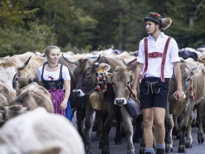 Die Bierenwangalpe auf dem Weg zum Scheidplatz