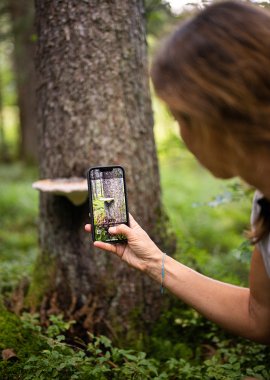 Das Besondere liegt im Detail