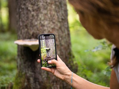 Das Besondere liegt im Detail