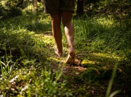 Barfuß im Wald